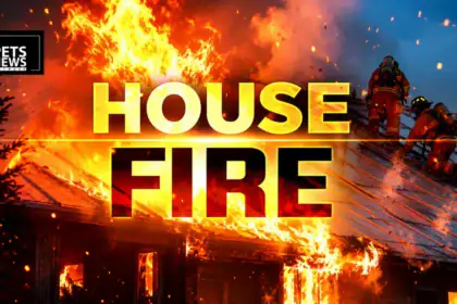 2 dogs dead, 8 pets survive after Charlotte house fire