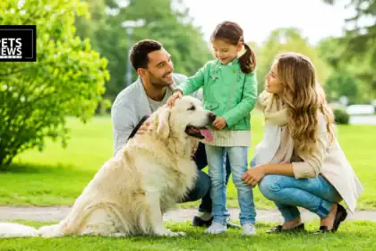 95% of Pet Owners Say Their Pet Is Family — This Survey Just Put a Number on What Every Pet Parent Already Knew