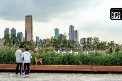 South Korea Is Rewriting What a Pet Economy Looks Like — and the Numbers Are Impossible to Ignore