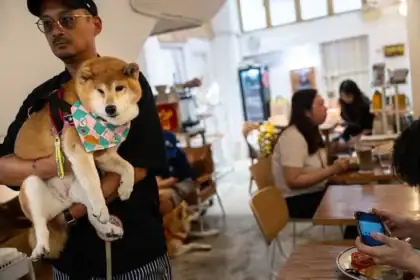 Hong Kong Opens More Restaurants to Pet Dogs as City Embraces a More Pet-Friendly Dining Culture