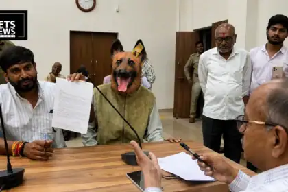 Man in Dog Costume Storms Khandwa Grievance Hearing Over ₹40 Lakh Sterilisation Scam Claim