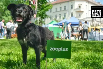 Zooplus Launches Third-Party Marketplace in Germany, Adding 10,000 New Pet Products Overnight
