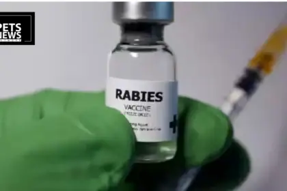How Chicken Heads Dropped From Helicopters Defeated Rabies in Europe