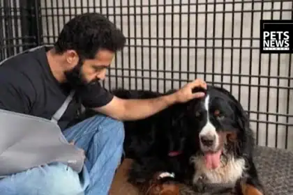 Jr NTR Mourns the Loss of Bagheera, His Beloved Bernese Mountain Dog