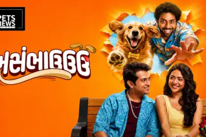 From "Impossible" to In-Theatre: Gujarati Film "Asambhauuu" Hosts India's Rare Pet-Friendly Cinema Screening