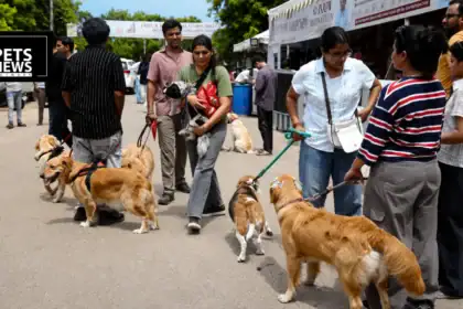 aipur's Mega Pet Carnival Delivers 2,000 Registrations, 1,000 Free Vaccinations, and 50 New Adoptions in a Single Day