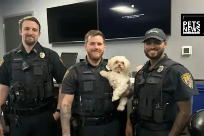 Three Stolen Dogs Recovered After Break-In at Oklahoma Veterinary Hospital, Juveniles in Custody