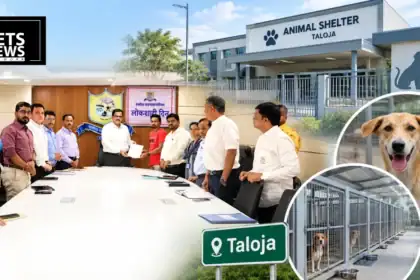 Panvel Civic Body Proposes ₹13.55 Crore Modern Animal Shelter in Taloja
