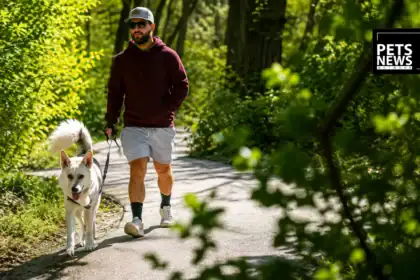 Shelter pets to benefit from upcoming Wag N' Walk fundraiser