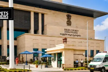 Andhra Pradesh HC Steps Up Stray Dog Oversight, Demands Fresh Affidavits From State Authorities