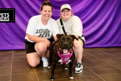 286 Pets Find New Homes in Just Four Days at Iowa's Clear the Shelters Adoption Event