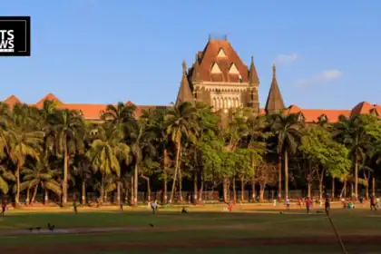 Bombay HC to Maharashtra: Go Aggressive on Dog Sterilisation to Fix Stray Crisis