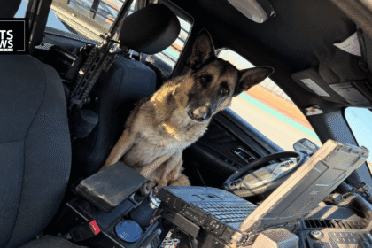 Archer the Dog Took One Look at the Freeway and Jumped Straight Into a Police Car