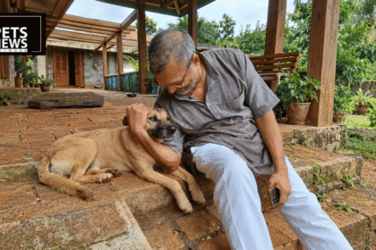 Nana Patekar Shared His Home With Five Dogs. He Never Made It a Headline.