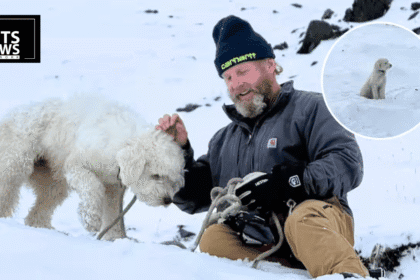 A Dog Survived 50 Hours in an Alaskan Avalanche. Before You Buy an AirTag for Your Dog, Read How It Actually Worked.