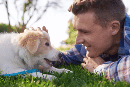 Pet Care Could Soon Become an ITI Trade. That Matters More Than It Sounds.