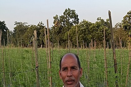 Mixed Farming