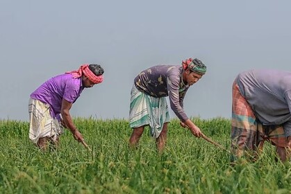 Farmer Registration Deadline