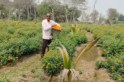 Cross Farming Model