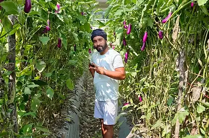 Organic Farming Success Story