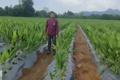 Raigarh Farmers Success Story