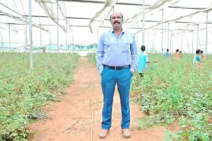 Bastar Rose Farming