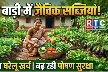 Kitchen Garden
