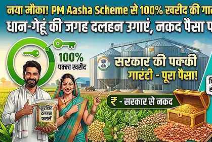 PM Aasha Scheme