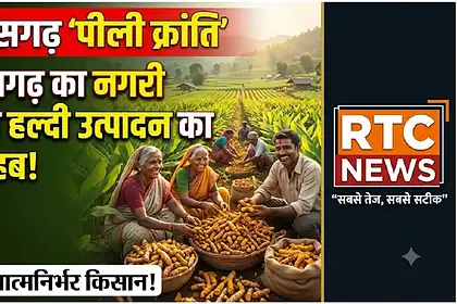 Turmeric Farming