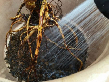 途中でお水