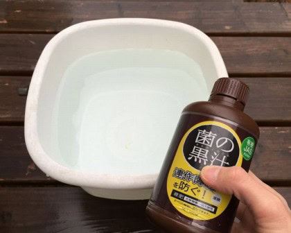 善玉菌を入れる