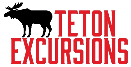 Teton Excursions - Private Tours of Yellowstone