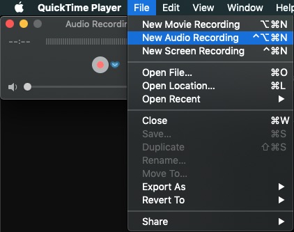 How-to-Record-WhatsApp-for-iOS-Calls-on-iPhone