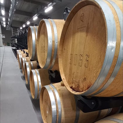 Rivestimento in resina per area bottaia di cantina vinicola