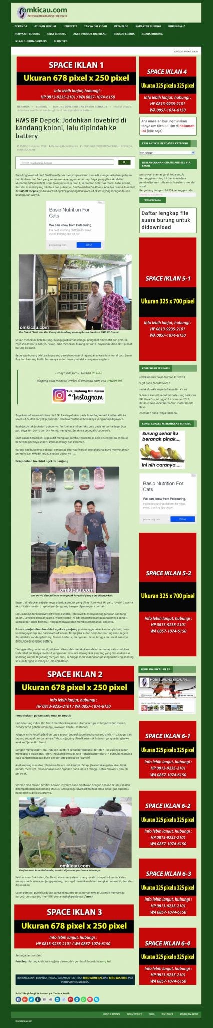 ruang iklan omkicau.com