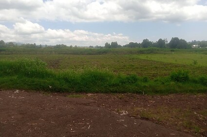 Pluies diluviennes au sud -Kivu  : Le groupement d’Izege paie le prix de la déforestation