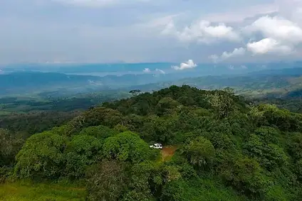 Face au dérèglement climatique : La société civile de Miti appelle à la protection urgente du Parc de Kahuzi-Biega