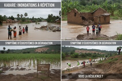 Kabare : inondations à répétition, symptôme d’écosystèmes en dégradation