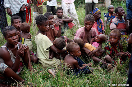 Kabare : les peuples autochtones pygmées en détresse face aux conflits et à la précarité