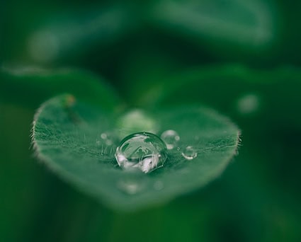 Públicas Ecológicas  5 passos para a contratação pública ecológicas  