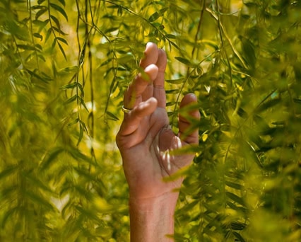 Massive Online Open Course