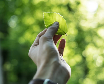 Manual para as Compras Públicas Ecológicas