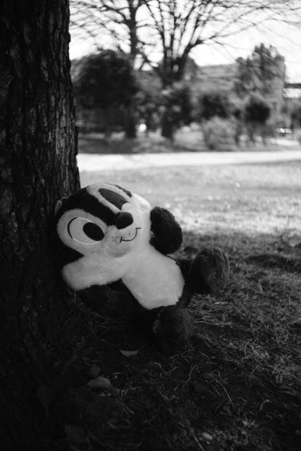 Leica Summaron 35mm F3.5L 前期 作例 