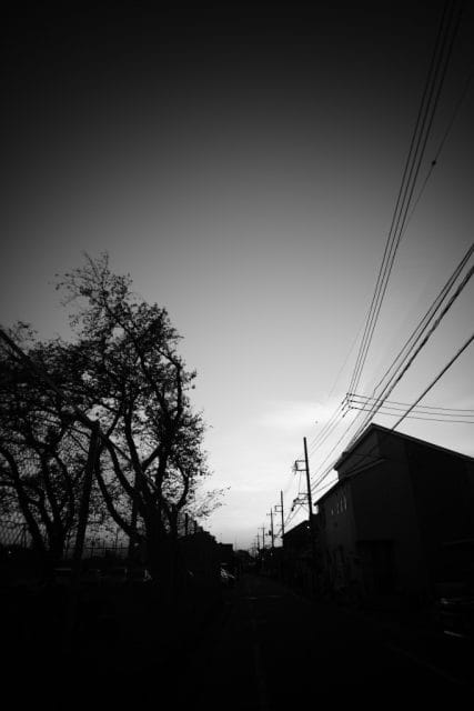 GR Lens 21mm f3.5 L39の作例