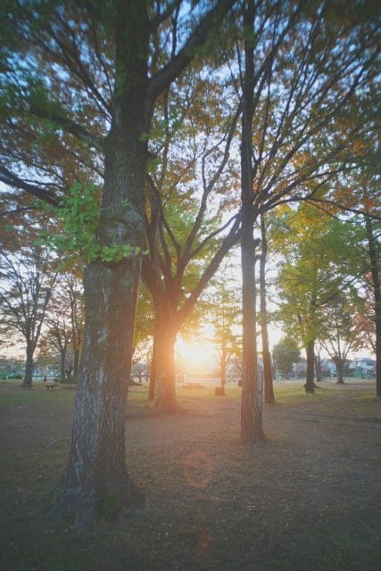 GR Lens 21mm f3.5 L39の作例