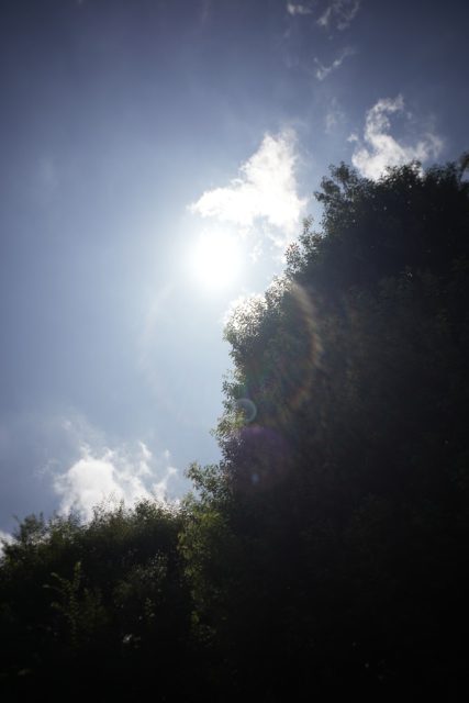 Carl Zeiss G Biogon 28mm f2.8 作例 虹ゴーストチェック