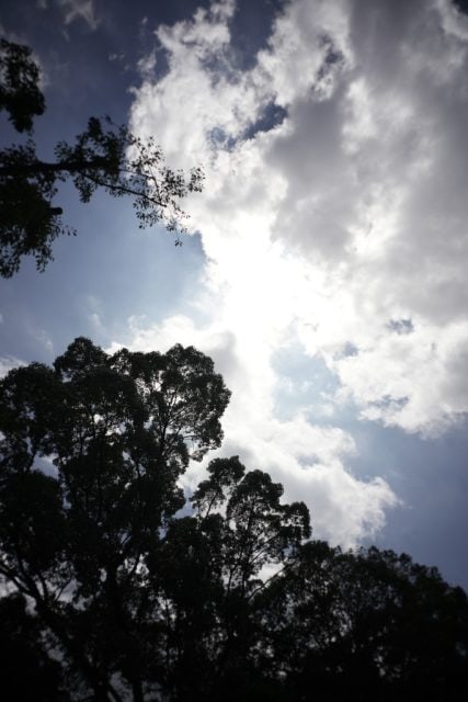 Carl Zeiss G Biogon 28mm f2.8 作例 逆光青空と白い雲と太陽と