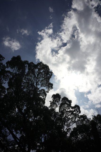 Carl Zeiss G Biogon 28mm f2.8 作例 逆光青空と白い雲と太陽と
