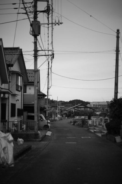 Summicron 50mm f2 第3世代の作例Review