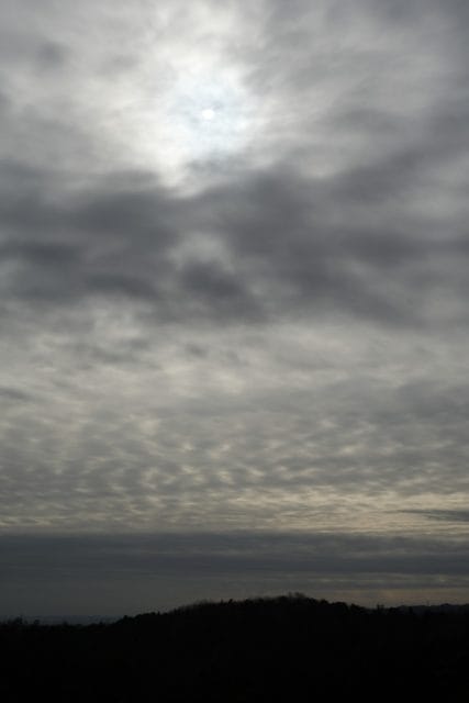 Summicron 50mm f2 第3世代の作例Review